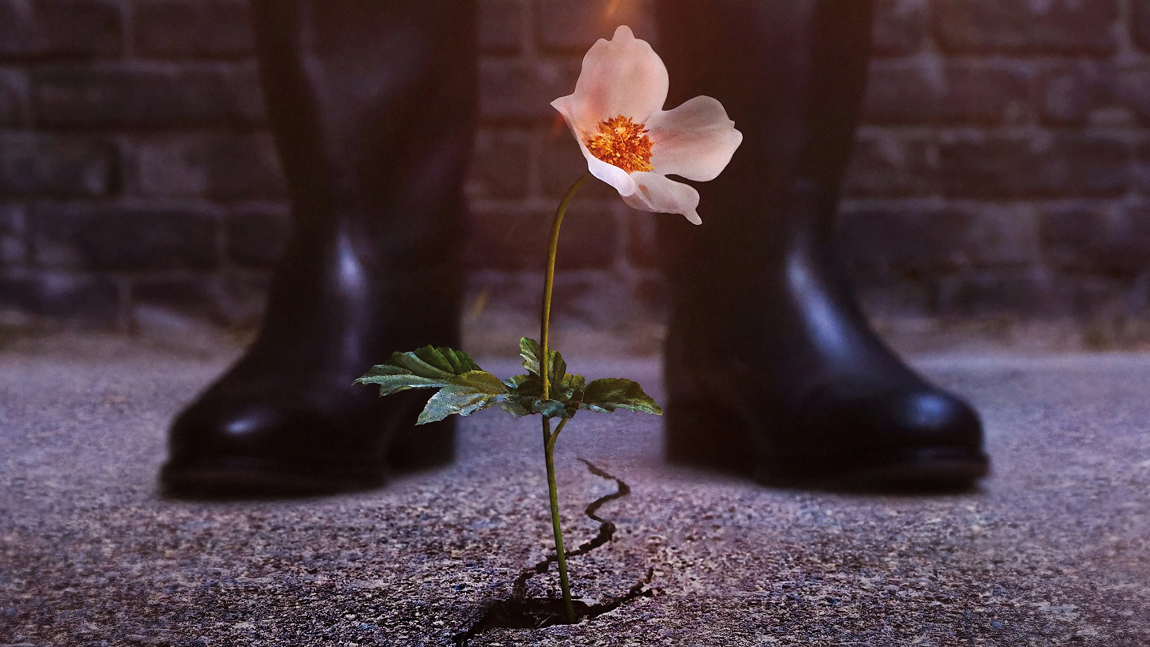 Thế Giới Của Phát Xít - The Man in the High Castle